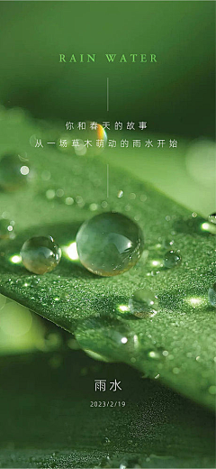 尼尼噢采集到植物背景/元素