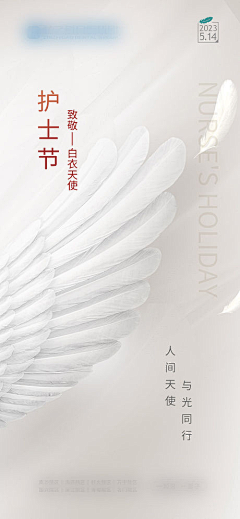 11121采集到版面