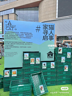 没考到驾照不改名采集到活动|露营市集系列