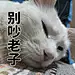 未标题-2_画板 1