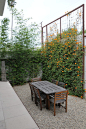 eclectic landscape by SB Garden Design