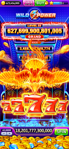 maple13采集到777