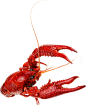 小龙虾2