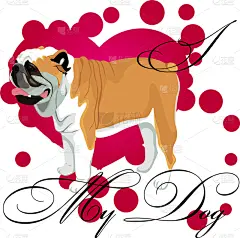 斗牛犬,可爱的,纯种犬,壁纸,狗,英格兰,自然美,动物,爱