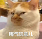这是一组表情包哟 ​​​​