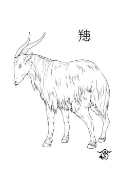 南宫戥蕊采集到生物
