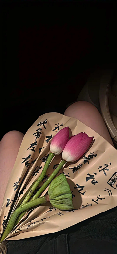 伊人浅笑醉云州采集到荷心自招惹