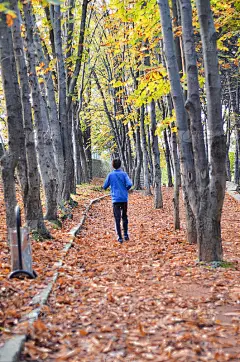 一个年轻人在公园里慢跑