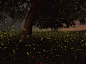6.12 寅夜之辉：意大利萤火虫
「我对义大利南方西里谷的萤火虫非常著迷，而我也住在这裡，」〈你的观点〉社群成员Massimo Gugliucciello写道。「在5、6月期间会有大批萤火虫出现，表示这裡对牠们而言是个健康的栖地。」