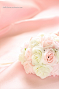 粉色玫瑰图片素材下载 - 高清设计图片 - 素材风暴 粉色 玫瑰花 图片 下载 梦幻 