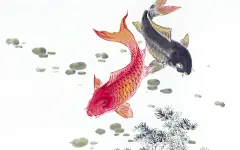 锦鲤插画高清桌面壁纸图片(2560×1600)