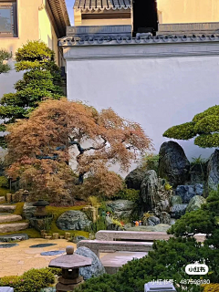 成为温暖的光采集到庭院元素-置石