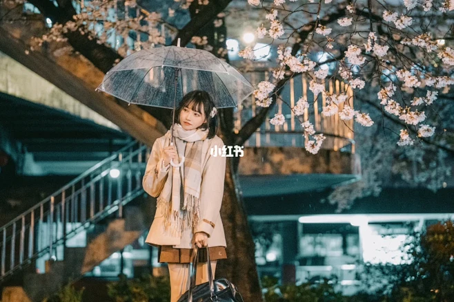 淋一场樱花雨雨夜的公交站台
