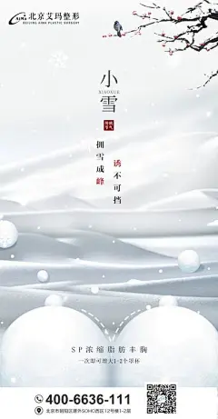 【南门网】海报 医美 小雪 二十四节气 创意