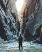 Photo by Alexander Cho  조아름  in Narrows - Zion National Park.