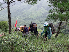 Cubo采集到重返十万大山母猪河（