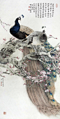 =著名花鸟画家-张玉明孔雀