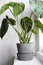 DIY: Målad kruka (via Bloglovin.com )