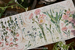 Max豆奶采集到手绘彩铅水彩