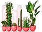 High round plant pot CACTI | Plant pot by Nola Industrier