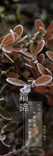 雪紫♛冰雨采集到二十四节气