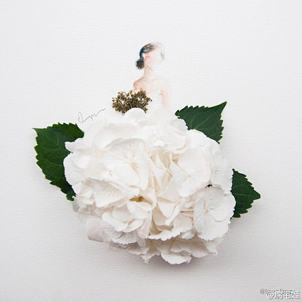 马来西亚艺术家把鲜花当作裙子结合水彩绘制...