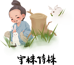 阿里山神木采集到插画