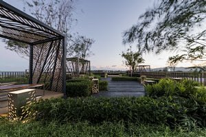 屋顶花园