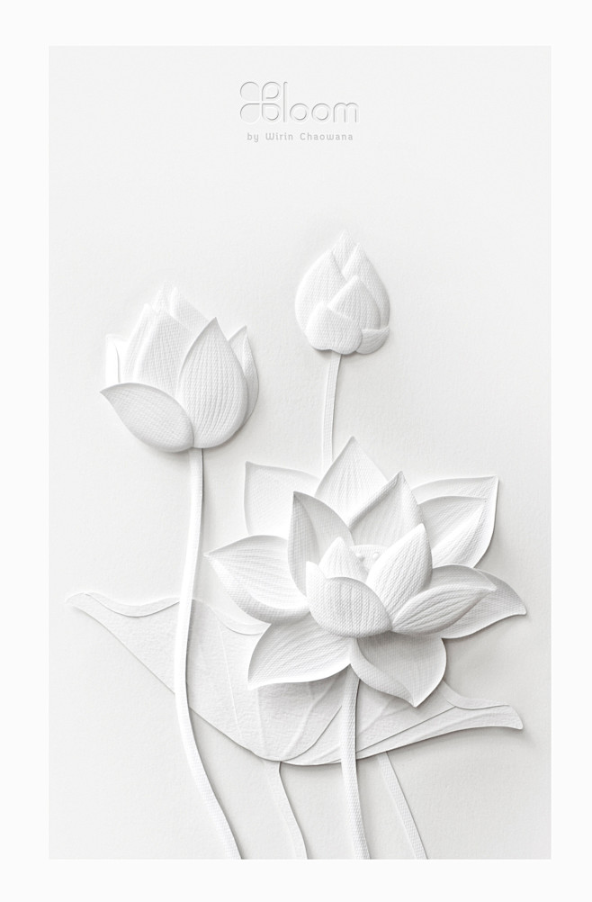 Paper Sculpture : Wh...