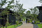 町田药师池公园“四季彩之森”游客中心，日本 /  N.YAMADA ARCHITECT & associates +  Studio terra : 运用村落般的建筑形式营造愉悦步行体验