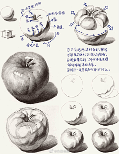 张小金啊采集到素描