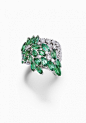 钻石与祖母绿宝石的奢华花园
伯爵珠宝