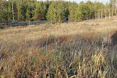 秋天的风景，大片开阔的草原