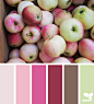 apple hues