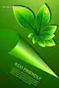 绿色ECO海报设计素材 - 广告设计素材_VI设计,包装设计,画册设计 - 素材风暴绿叶 绿色 环保 ECO friendly 素材 图片 叶子 水滴 海报设计 模板