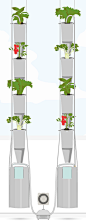 window farm
vertical-crops
