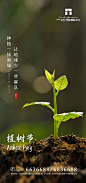 【源文件下载】 海报 植树节 公历节日 简约 树苗 220748