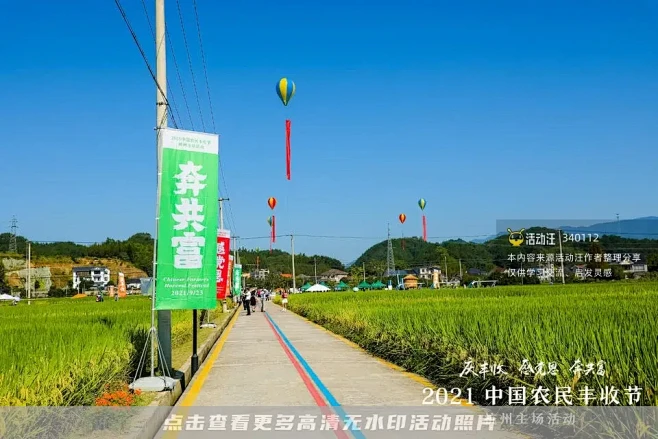 2021中国农民丰收节杭州主会场，更多高...