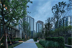 Rainy子衣采集到Residential