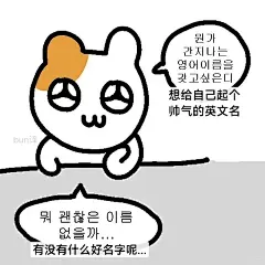 韩语表情包 奔驰眼小仓鼠来噜_1_十五宋_来自小红书网页版 (1)
