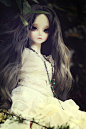 sd玩偶 LUXURY~Super Doll --