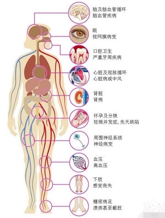 点击查看上一张