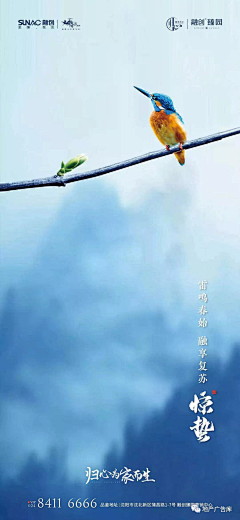 数字君丶采集到节日
