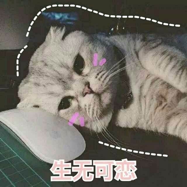 生无可恋萌宠