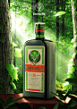 Drinks :: Behance