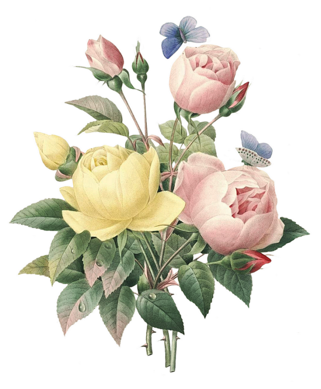 花纹