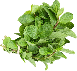 Pepermint PNG