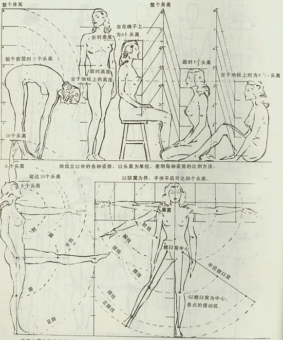 [转帖]绘画中人的五官比例标准+速写素描...