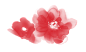 PNG免抠图 透明底