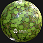 Vitoria Regia, Christopher Alencar : Hey guys!<br/>I am building the substance collection vol 3, this is one of the materials I finished for this series, I intend in the future to join all my volumes and launch a super package for unreal market plac